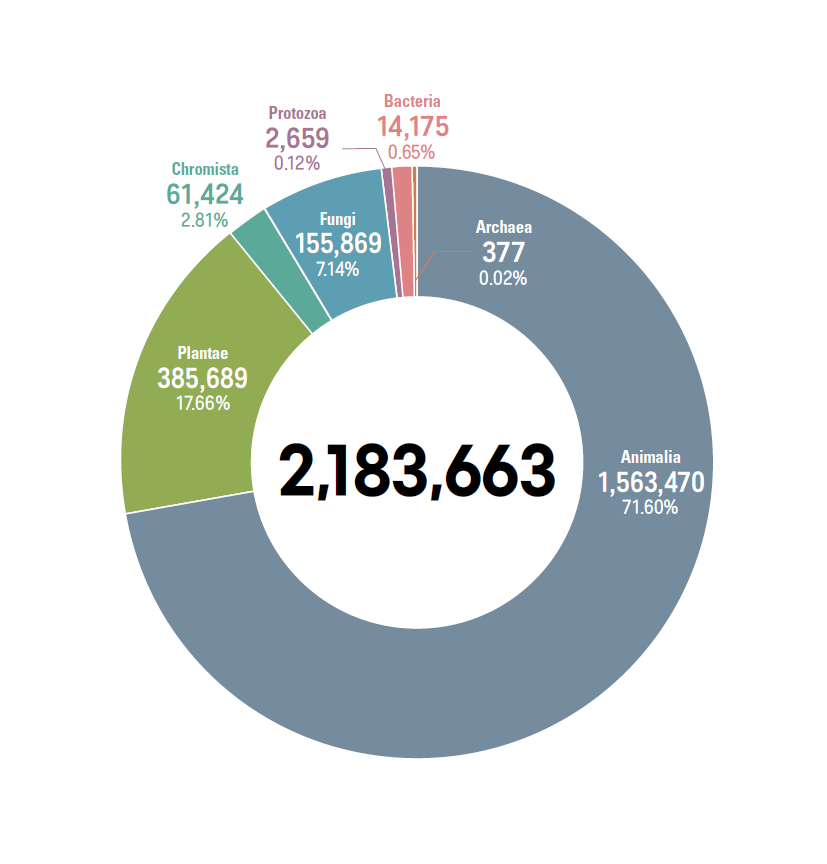 세계 생물 종 수
