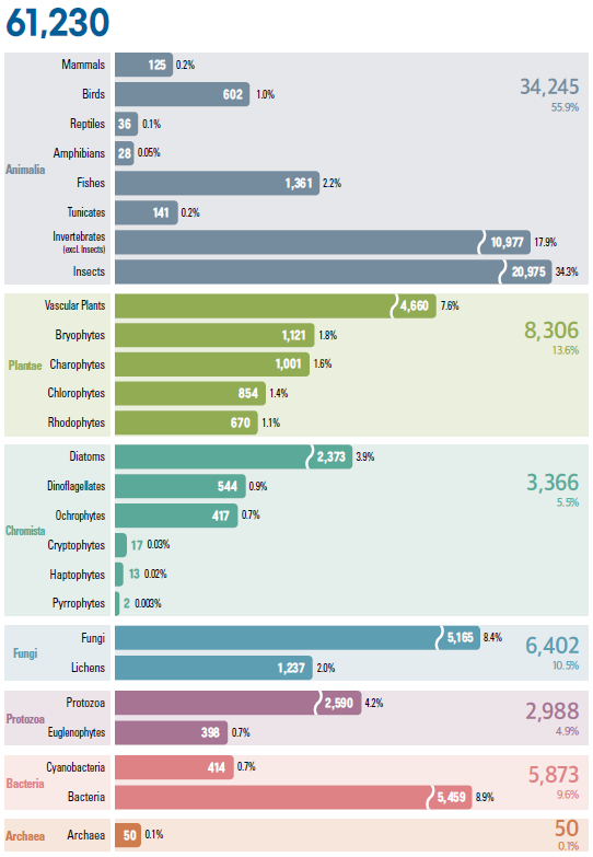 Status of Speies by Subtaxa