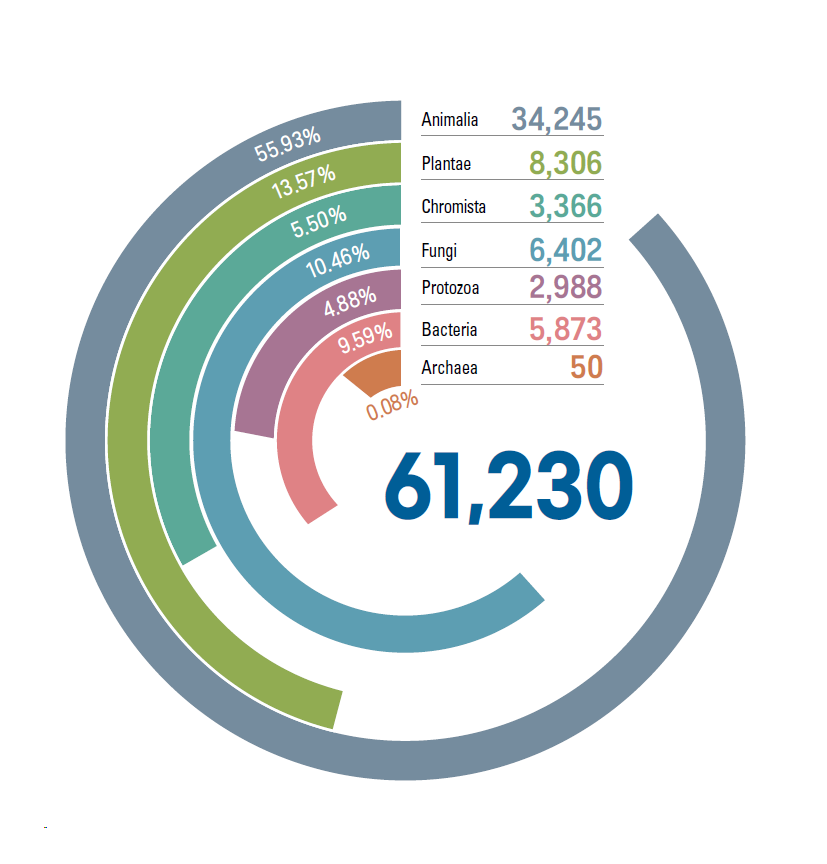 The Number of Species by Kingdom