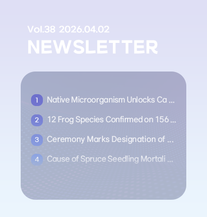 Newsletter
