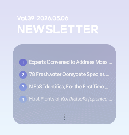 Newsletter