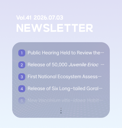 Newsletter