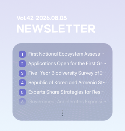 Newsletter