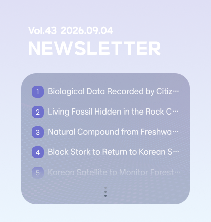 Newsletter